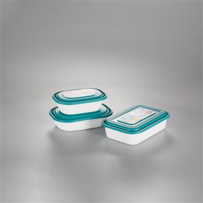 IML Container Mold